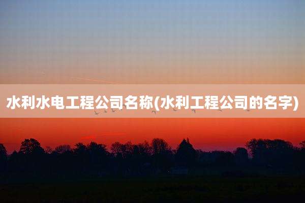 水利水电工程公司名称(水利工程公司的名字)