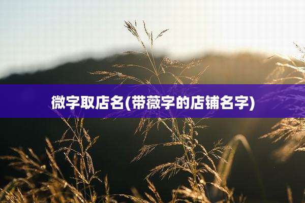 微字取店名(带薇字的店铺名字)