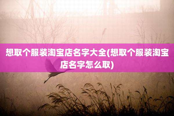 想取个服装淘宝店名字大全(想取个服装淘宝店名字怎么取)
