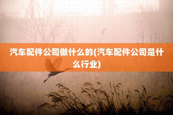 汽车配件公司做什么的(汽车配件公司是什么行业)