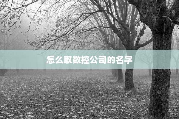 怎么取数控公司的名字