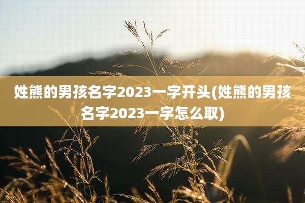 姓熊的男孩名字2023一字开头(姓熊的男孩名字2023一字怎么取)