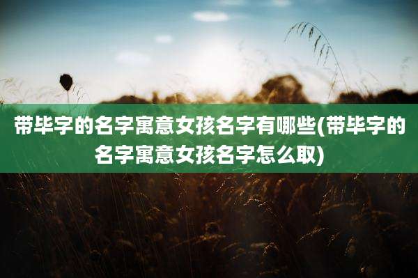 带毕字的名字寓意女孩名字有哪些(带毕字的名字寓意女孩名字怎么取)