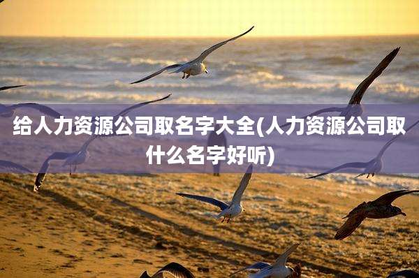 给人力资源公司取名字大全(人力资源公司取什么名字好听)