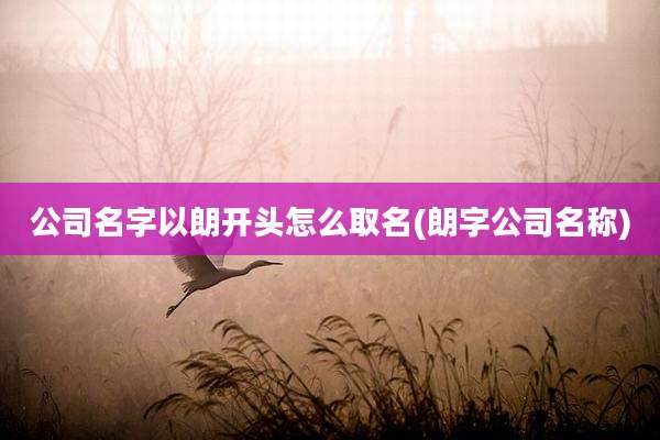 公司名字以朗开头怎么取名(朗字公司名称)