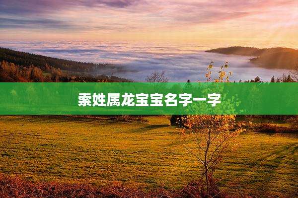 索姓属龙宝宝名字一字