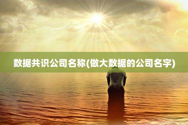 数据共识公司名称(做大数据的公司名字)
