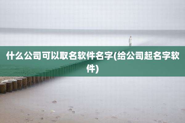 什么公司可以取名软件名字(给公司起名字软件)