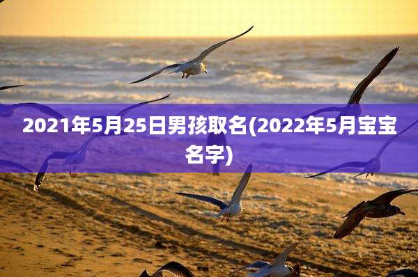 2021年5月25日男孩取名(2022年5月宝宝名字)