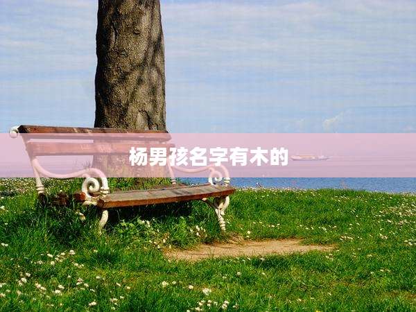 杨男孩名字有木的