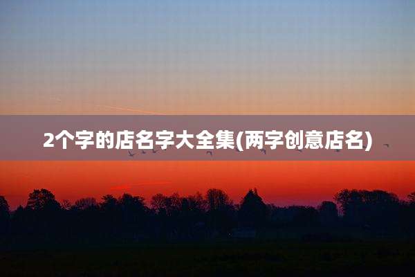 2个字的店名字大全集(两字创意店名)