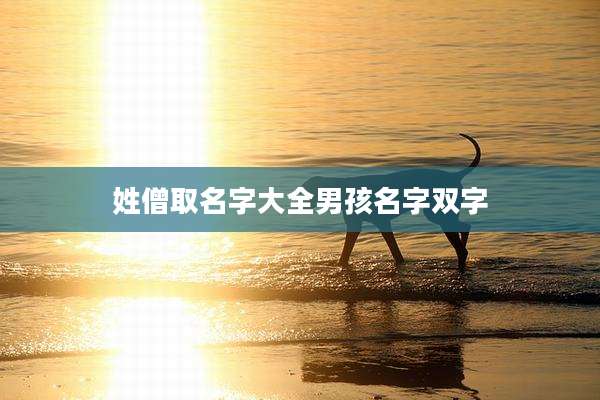姓僧取名字大全男孩名字双字
