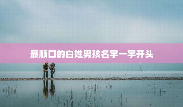 最顺口的白姓男孩名字一字开头