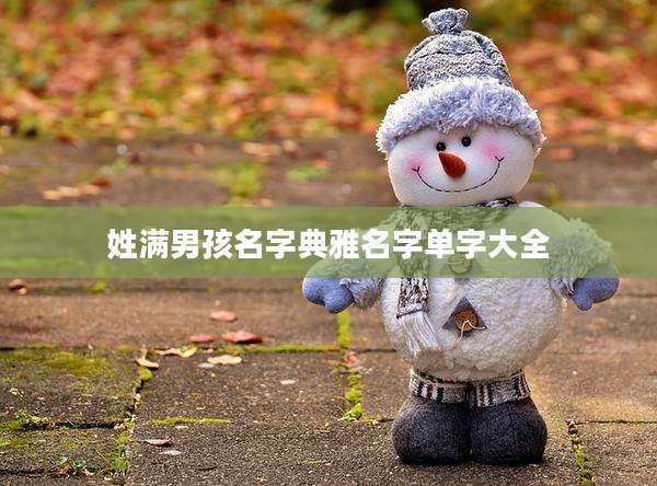 姓满男孩名字典雅名字单字大全