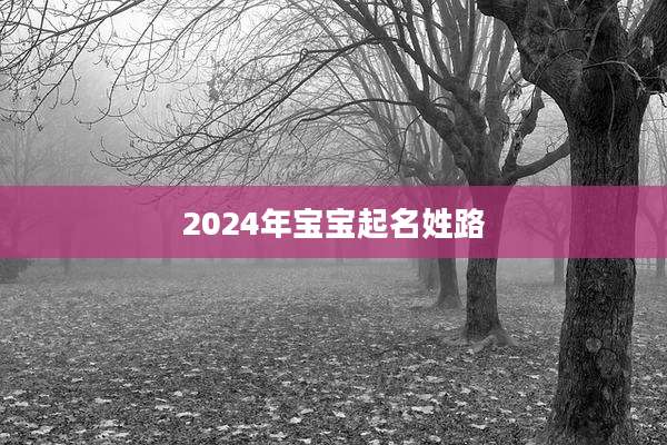2024年宝宝起名姓路
