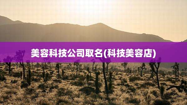 美容科技公司取名(科技美容店)