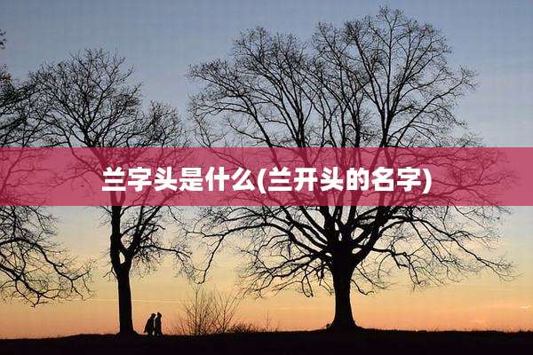 兰字头是什么(兰开头的名字)