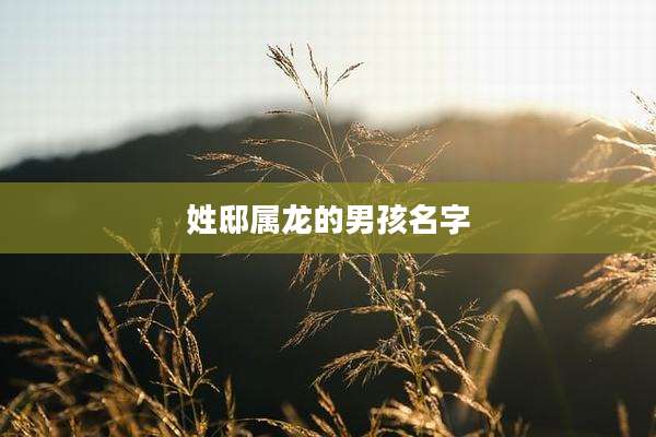 姓邸属龙的男孩名字