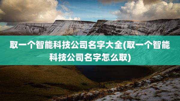取一个智能科技公司名字大全(取一个智能科技公司名字怎么取)