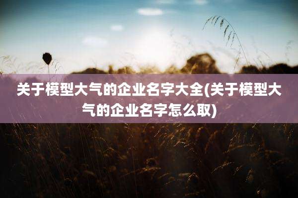 关于模型大气的企业名字大全(关于模型大气的企业名字怎么取)