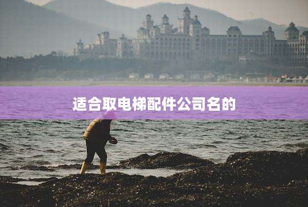 适合取电梯配件公司名的