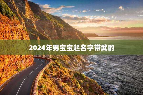 2024年男宝宝起名字带武的