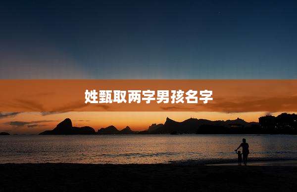 姓甄取两字男孩名字