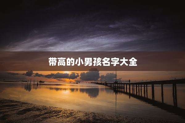 带高的小男孩名字大全
