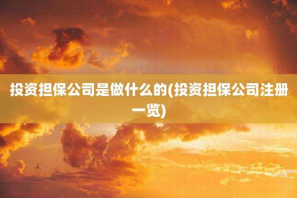 投资担保公司是做什么的(投资担保公司注册一览)