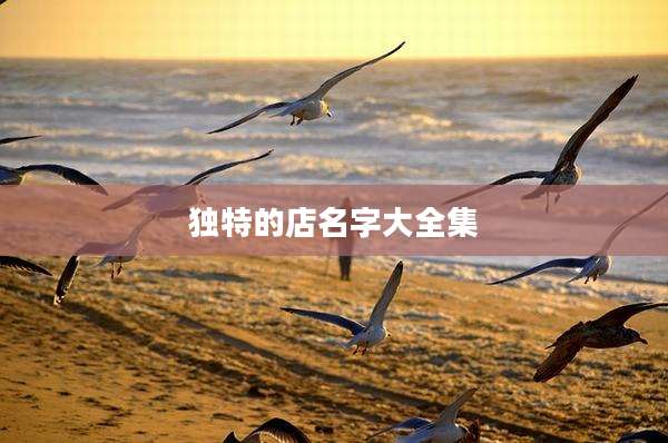 独特的店名字大全集