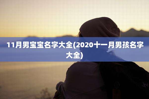 11月男宝宝名字大全(2020十一月男孩名字大全)