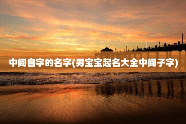 中间自字的名字(男宝宝起名大全中间子字)