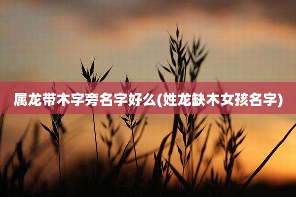 属龙带木字旁名字好么(姓龙缺木女孩名字)