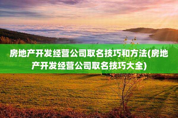 房地产开发经营公司取名技巧和方法(房地产开发经营公司取名技巧大全)