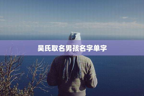 吴氏取名男孩名字单字