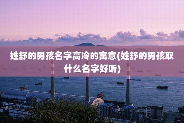 姓舒的男孩名字高冷的寓意(姓舒的男孩取什么名字好听)