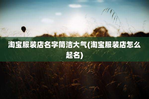淘宝服装店名字简洁大气(淘宝服装店怎么起名)