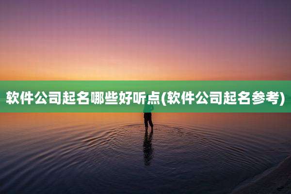 软件公司起名哪些好听点(软件公司起名参考)