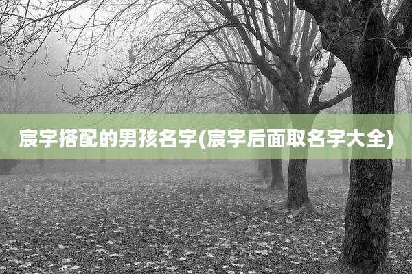 宸字搭配的男孩名字(宸字后面取名字大全)