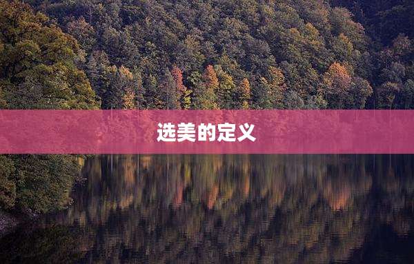 选美的定义