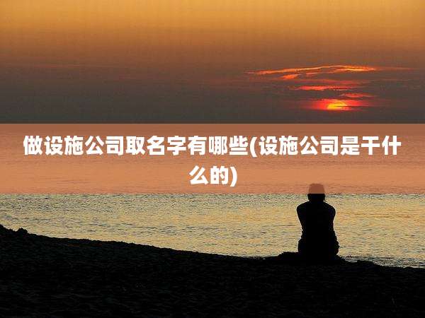 做设施公司取名字有哪些(设施公司是干什么的)