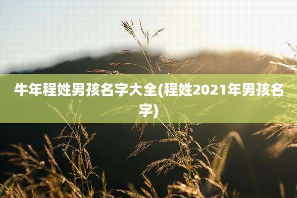 牛年程姓男孩名字大全(程姓2021年男孩名字)