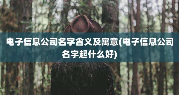 电子信息公司名字含义及寓意(电子信息公司名字起什么好)