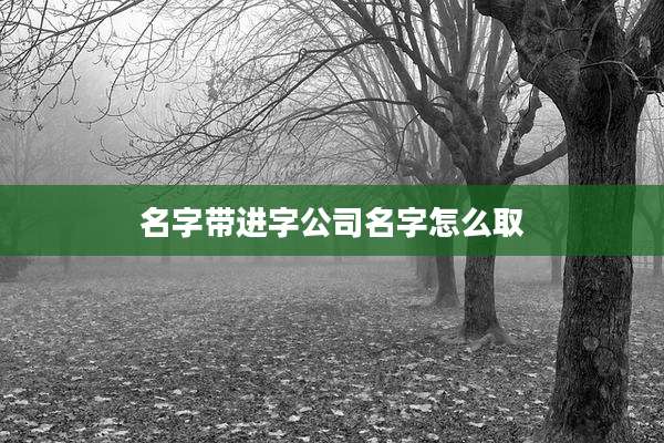 名字带进字公司名字怎么取