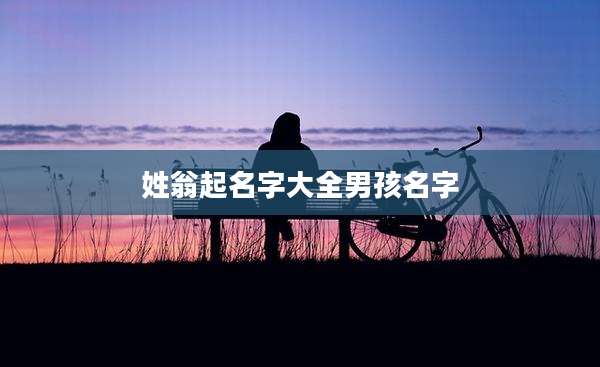 姓翁起名字大全男孩名字