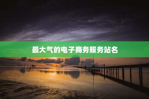 最大气的电子商务服务站名