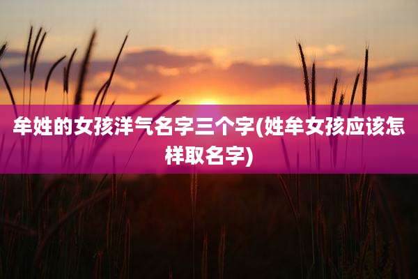 牟姓的女孩洋气名字三个字(姓牟女孩应该怎样取名字)