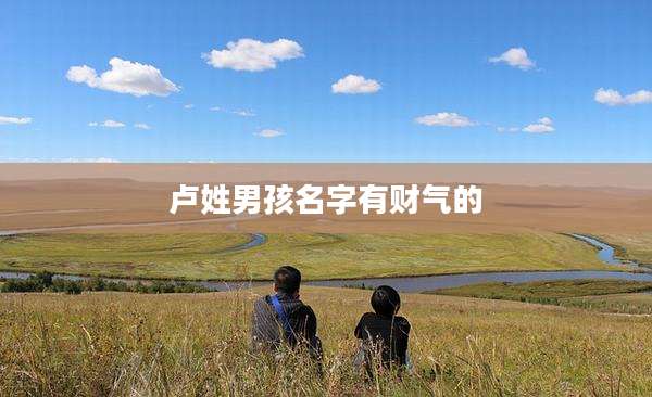 卢姓男孩名字有财气的