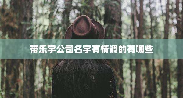 带乐字公司名字有情调的有哪些