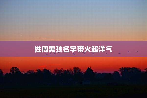 姓周男孩名字带火超洋气